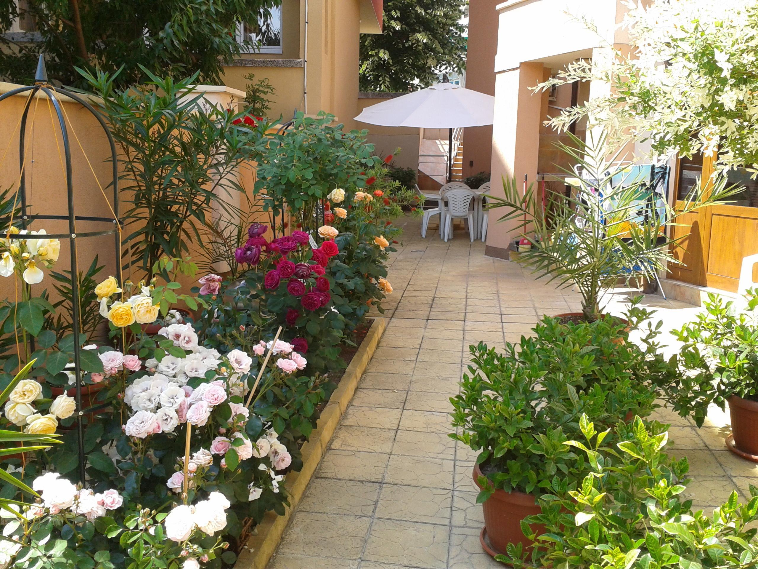 Hotel Chuchulev โซโซโปล ภายนอก รูปภาพ