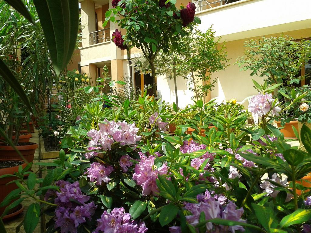 Hotel Chuchulev โซโซโปล ภายนอก รูปภาพ